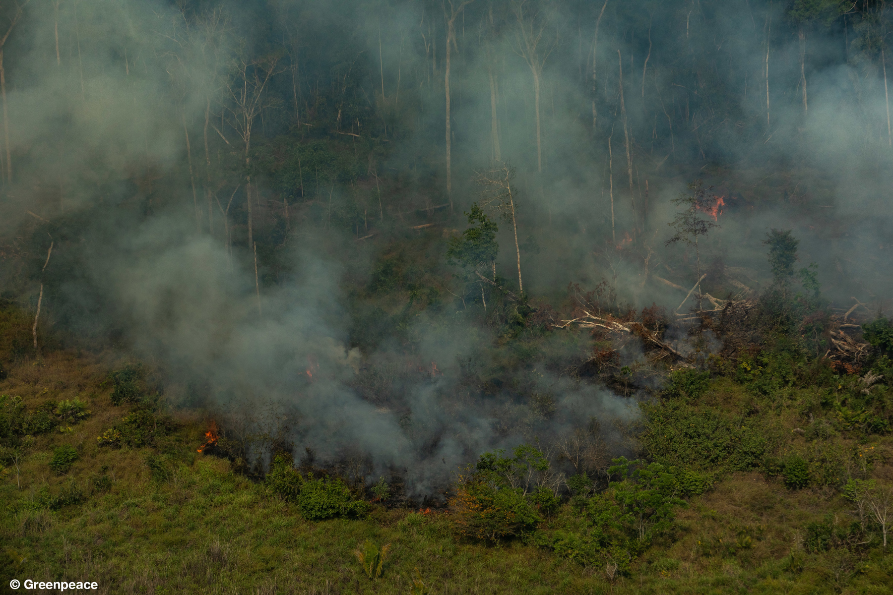 GP0STTSF5_greenpeace_amazon_fires_2019