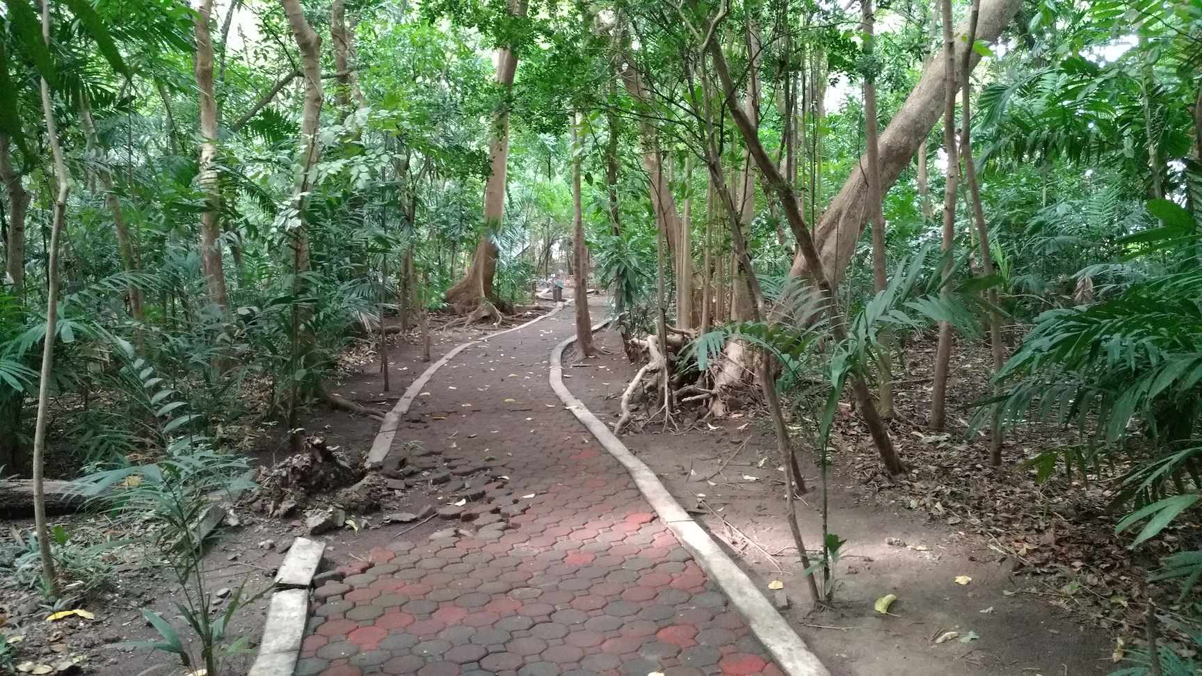 Arroceros forest park issue picture