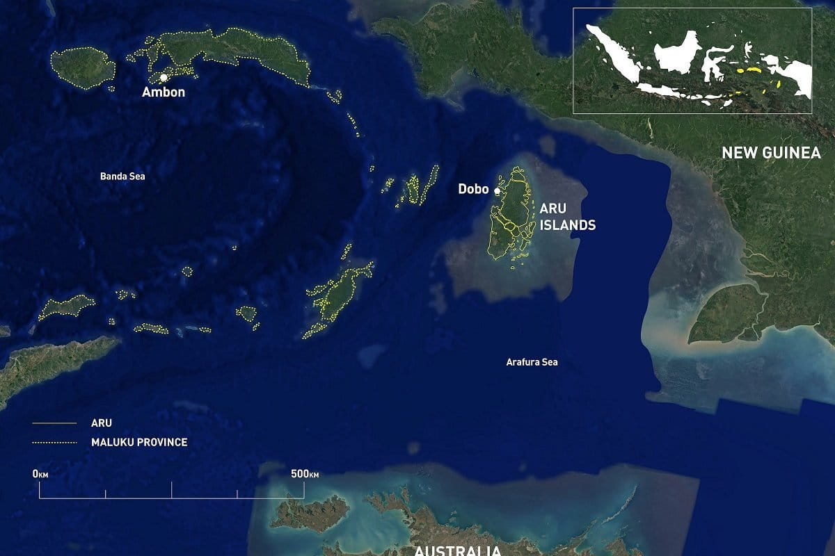 10 Takeaways From Indonesia s Grassroots SaveAru Success
