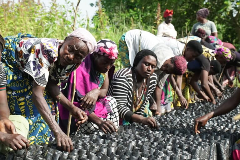 Community forest management group readying seedlings to plant near the boundary of Bugoma Forest.