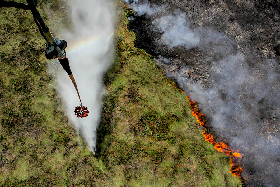 Makers of popular food brands among those linked to Indonesia forest fires, News, Eco-Business