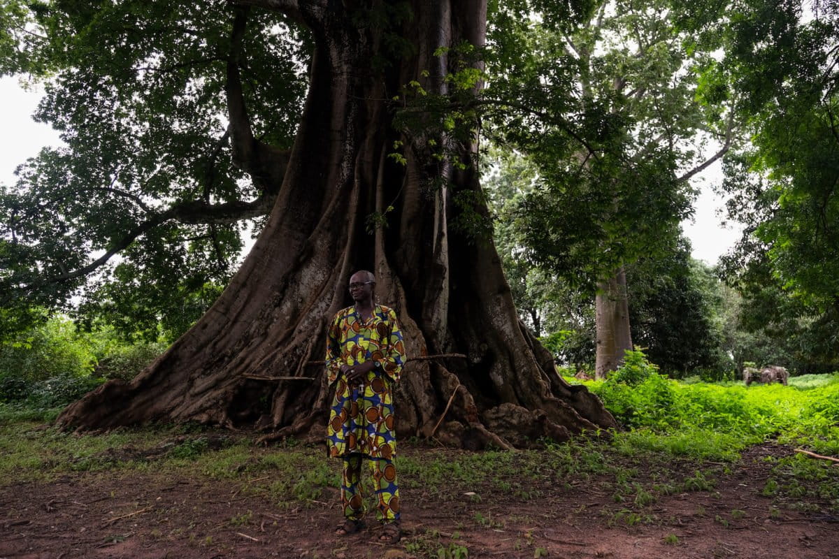 Tradition and taboo keep Guinea-Bissau’s forests standing