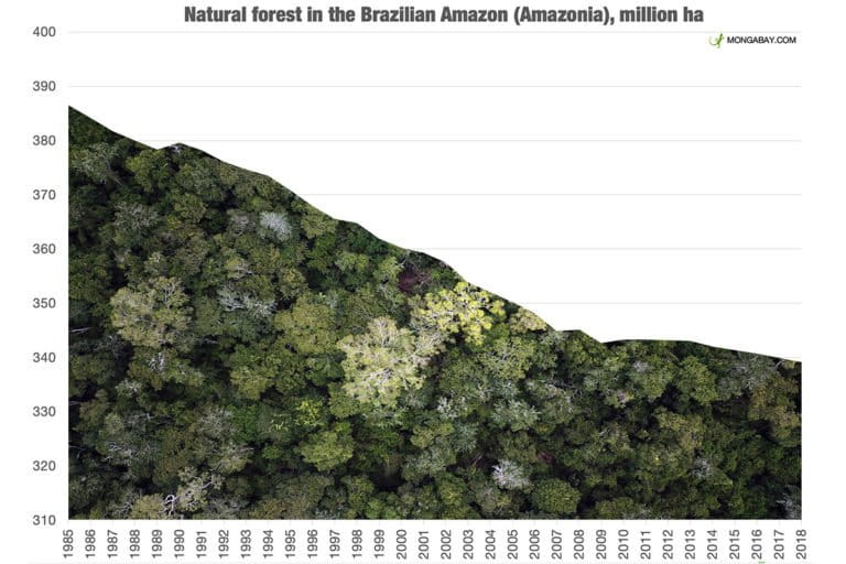 Natural forest covering in the Brazilian Amazon according to data aggregated by MapBiomas.