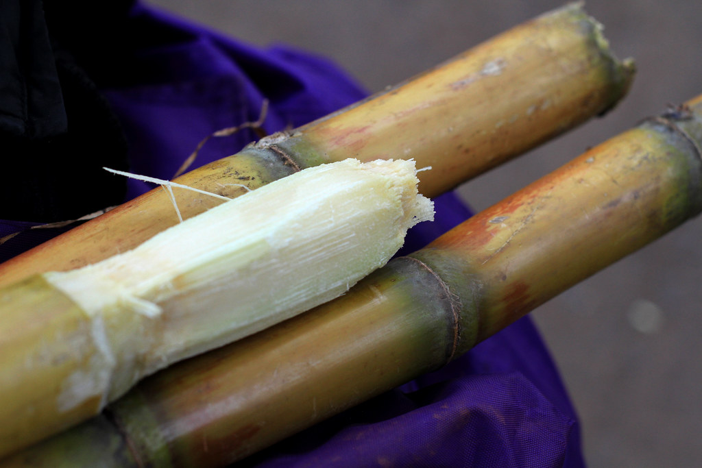 Brazil sugarcane growth can meet biofuel need and not drive