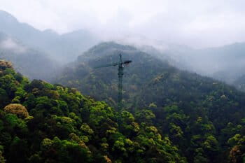A canopy crane in the forest in Gutianshan National Nature Reserve. Photo courtesy of Lei Chen.