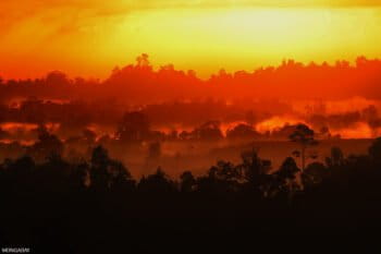 Sunrise in East Kalimantan, Indonesia in 2019. Photo by Rhett A. Butler.