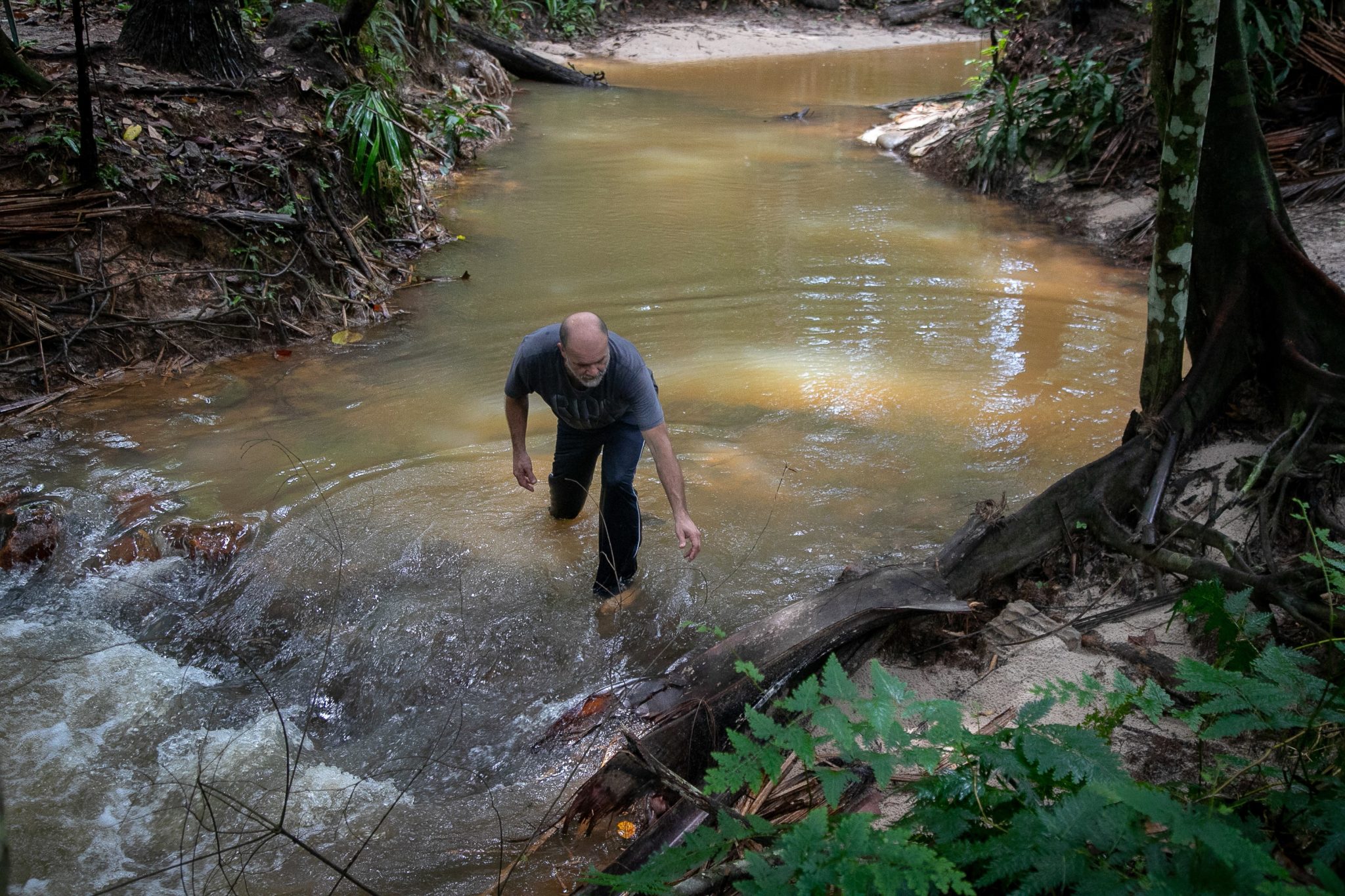 Jó Farah, president of NGO Mata Viva, taking care of the Igarapé Água Branca, the last clean stream in Manaus, the capital of Amazonas state, in the Amazon region. Image by César Nogueira.