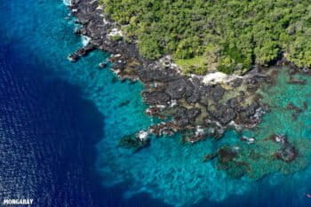 Coastline of the Big Island, Hawaii. Photo by Rhett A. Butler / mongabay.