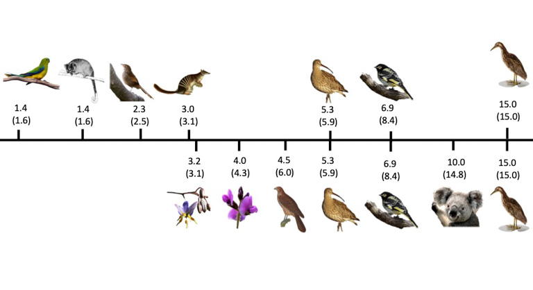 Infographic showing the number of species benefitting from management if the top seven umbrella species are managed from both the priority government list (top) and the optimized list (bottom). The number of species in brackets are those that could be managed without considering the umbrella benefits of any other species. Image by courtesy of Ward et al., 2019.