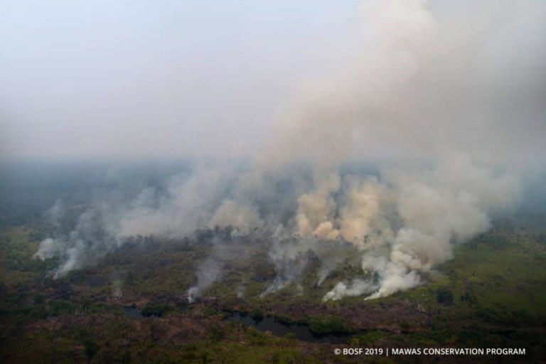 In Borneo, the 'Power of Mama' fight Indonesia's wildfires with