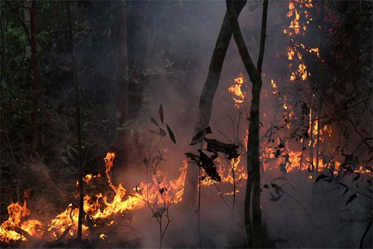 El Niño pode potencializar fogo na Amazônia, alertam cientistas - Amazônia  Real