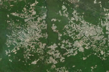 Deforestation in Novo Progresso in the state of Para