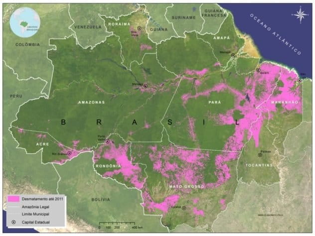 The Political Arc of Deforestation