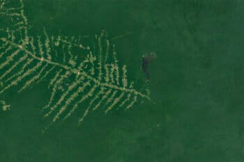 Google Earth image of fish-scale deforestation east of Caroebe, in the state of Roraima, Brazil in January 2020