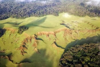 Nyonié savannaah, Gabon. Image by Christian Vigna via Wikicommons (CC BY-NC-4.0)