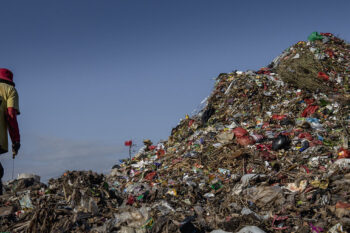A trash picker looks for recyclable plastics at a waste dump in Bali. Image by Jonas Gratzer for Mongabay.