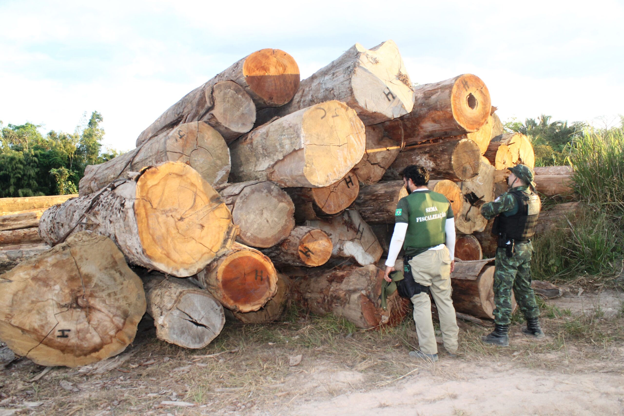 Environmental enforcement authorities in Pará state near Belo Monte dam find stash of illegal wood. Image by Sam Cowie
