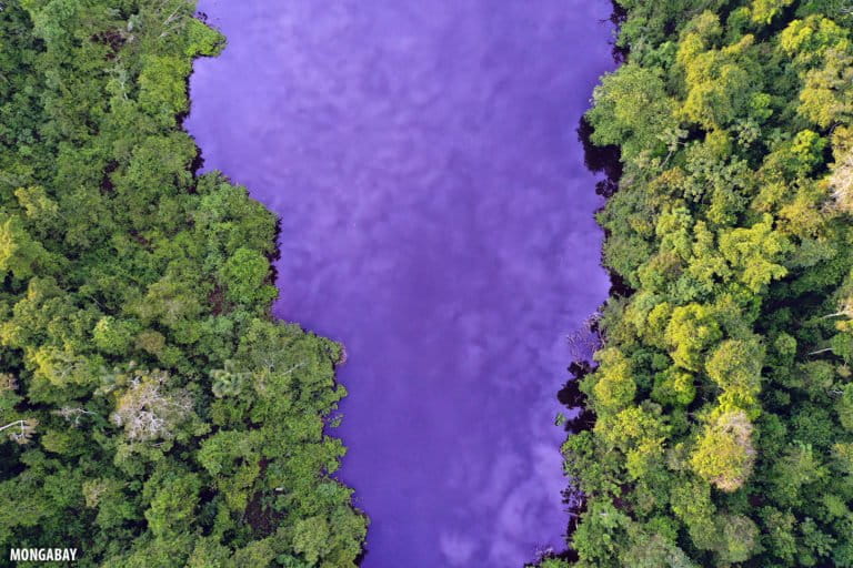 Blackwater lake in the Peruvian Amazon. Photo by Rhett A. Butler for Mongabay.