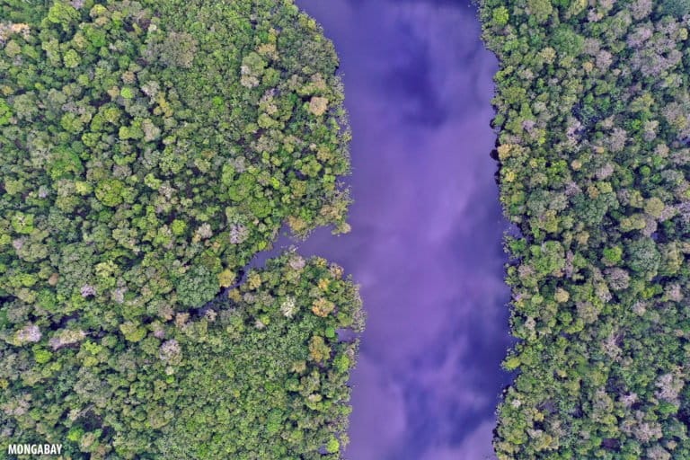 Zacambu River in Peru. Photo by Rhett A. Butler for Mongabay.