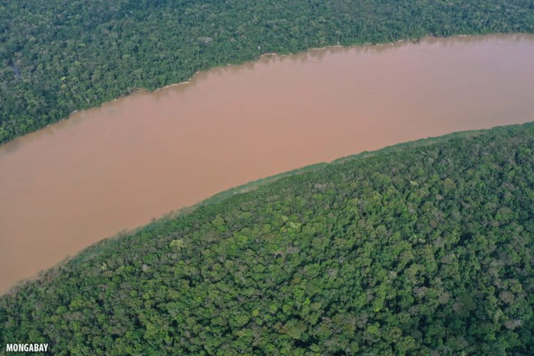 The Javari River where it forms the border between Peru and Brazil. Photo by Rhett A. Butler for Mongabay.