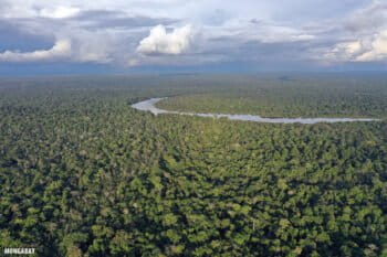 The Amazon rainforest. Photo by Rhett A. Butler for Mongabay.