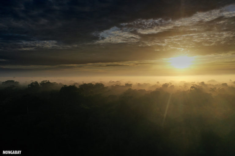 Sunrise over the rainforest in the Peruvian Amazon. Photo by Rhett A. Butler for Mongabay.