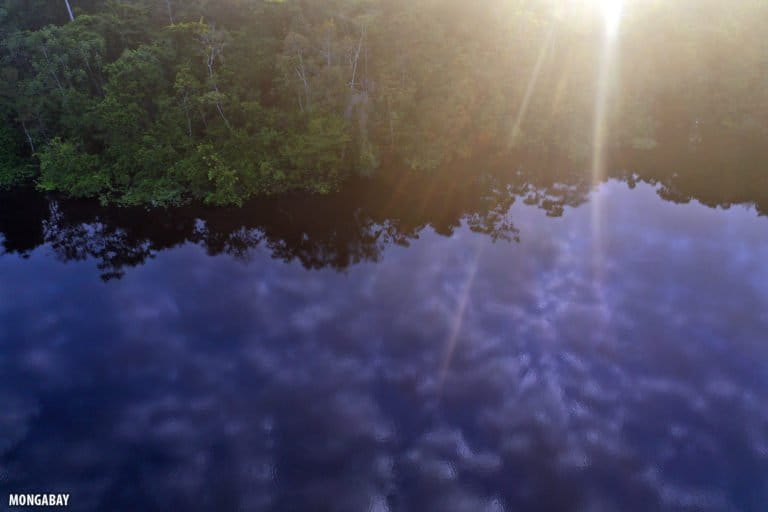 Blackwater lake in the Peruvian Amazon at daybreak. Photo by Rhett A. Butler for Mongabay.