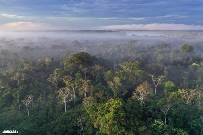 Mist rising from the Amazon rainforest at dawn. Photo by Rhett A. Butler for Mongabay.