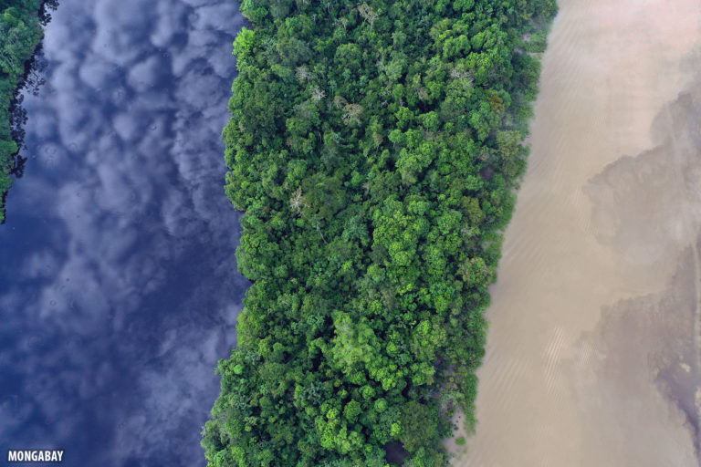 Blackwater lake, rainforest, and the whitewater Zacambu River in the Peruvian Amazon. Photo by Rhett A. Butler for Mongabay.