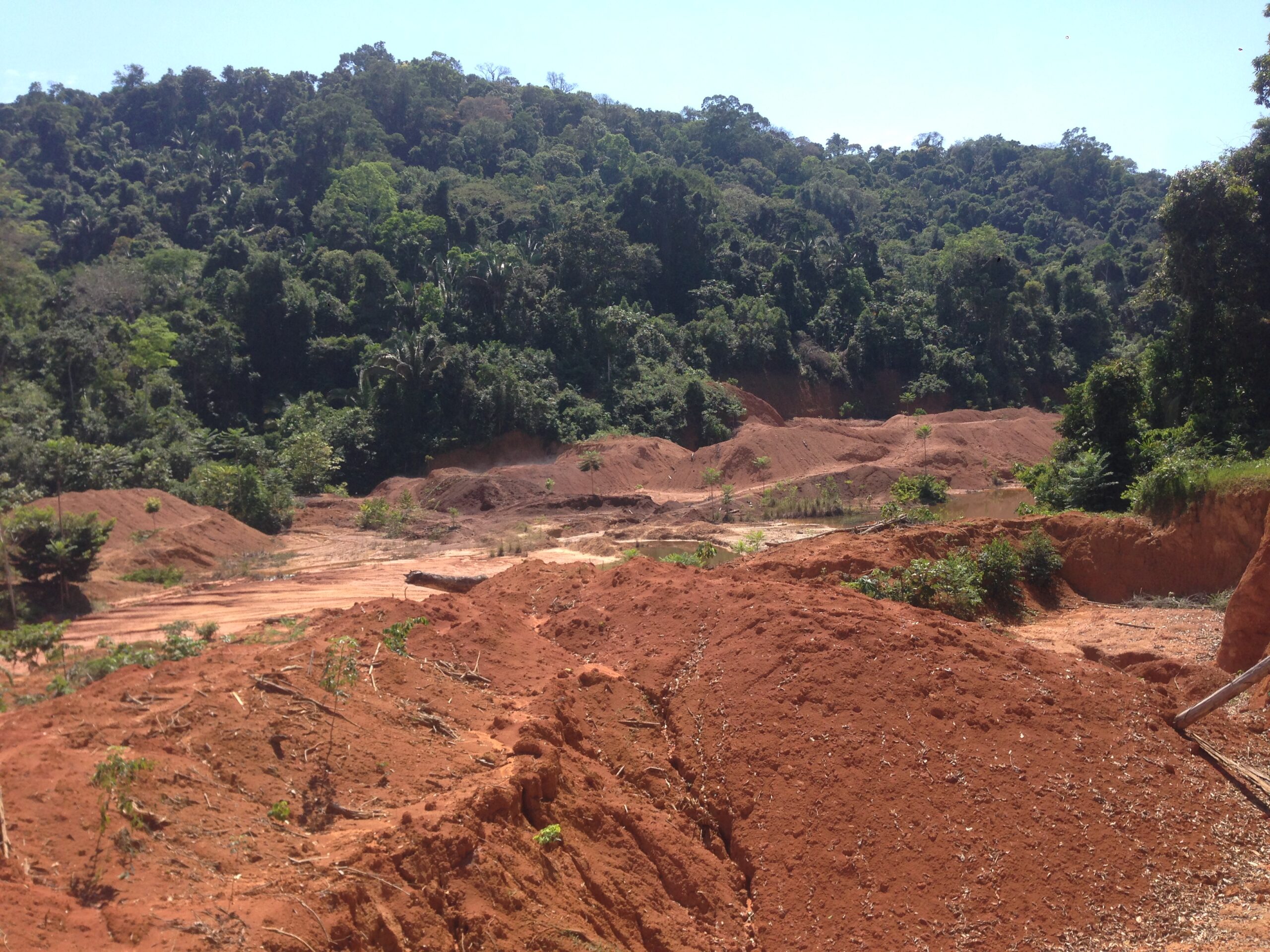 An illegal mining site on Munduruku indigenous land in Pará state, in the Amazon region. Image by Sam Cowie
