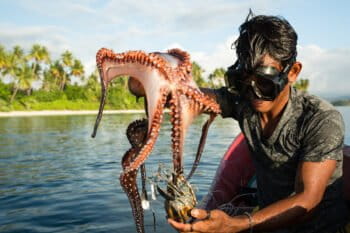 Traditional fisherman catching an octopus in Banggai Regency, Central Sulawesi, Indonesia. Photo © Garth Cripps / Blue Ventures.