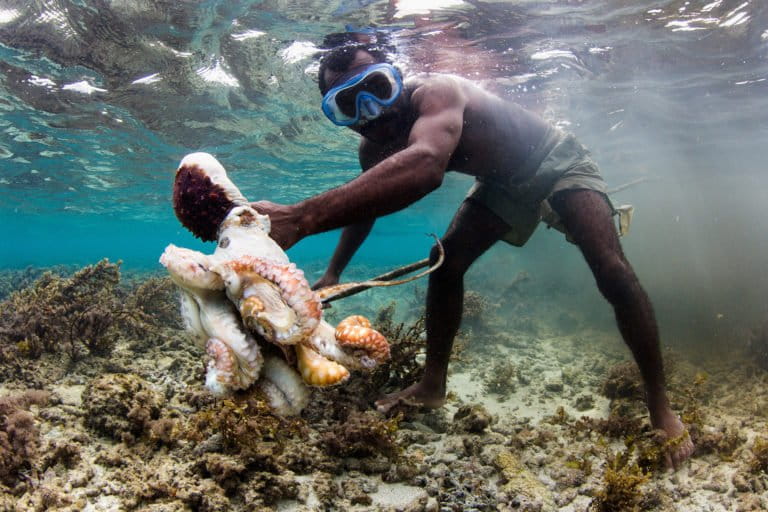 Nelayan Vezo ini baru sahaja melembing seekor sotong. Di belakangnya, air berubah warna oleh dakwat yang dikeluarkan oleh sotong untuk cuba melindungi dirinya. Foto © Garth Cripps / Blue Ventures.