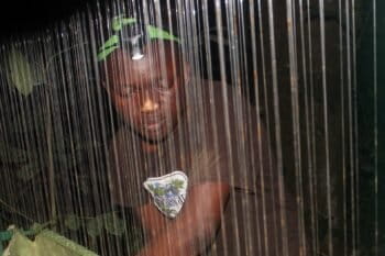 Iroro Tanshi with harp trap at Afi Mountain Wildlife Sanctuary. Image courtesy Iroro Tanshi and Benneth Obitte.