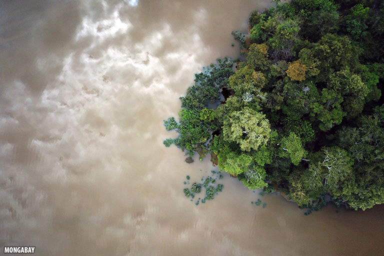 Flooded forest in the Amazon. Photo by Rhett A. Butler for Mongabay