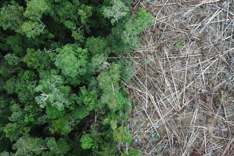 Deforestation in Indonesian Borneo. Photo by Rhett A. Butler.