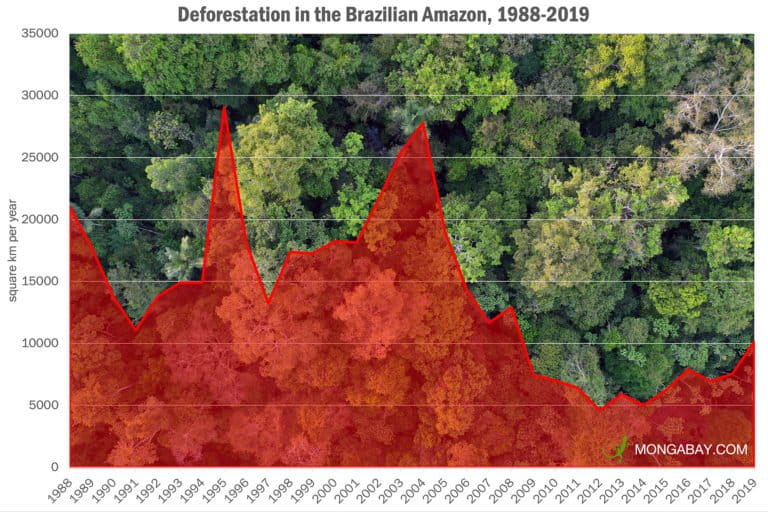 Brazil revises deforestation data Amazon rainforest loss topped 10,000