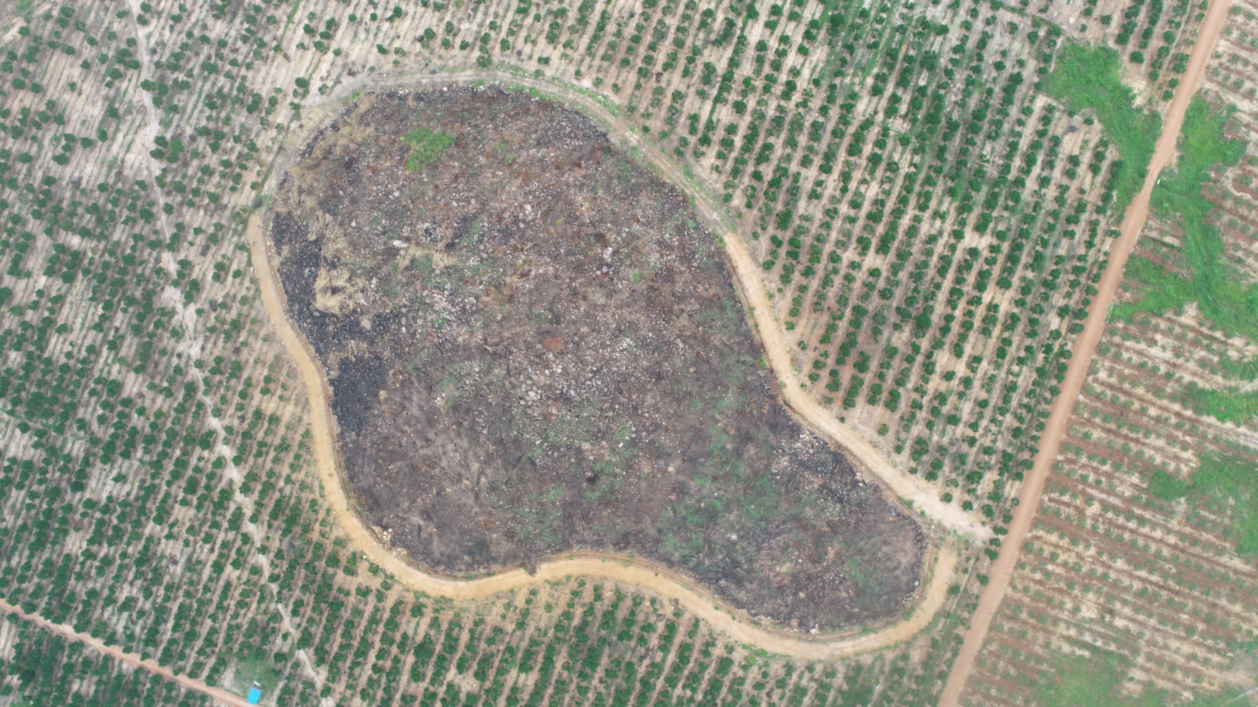 Land clearance at Mouy village in Cambodia