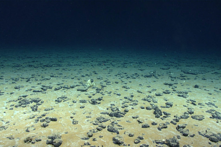 deep ocean floor wallpaper