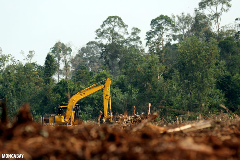 Excavator working an acacia plantation in Riau, the Indonesian province that lost 22% of its primary forest cover between 2002 and 2019. Photo by Rhett A. Butler.