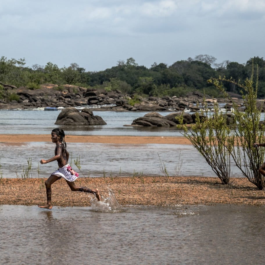 Conservation news on Habitat Destruction