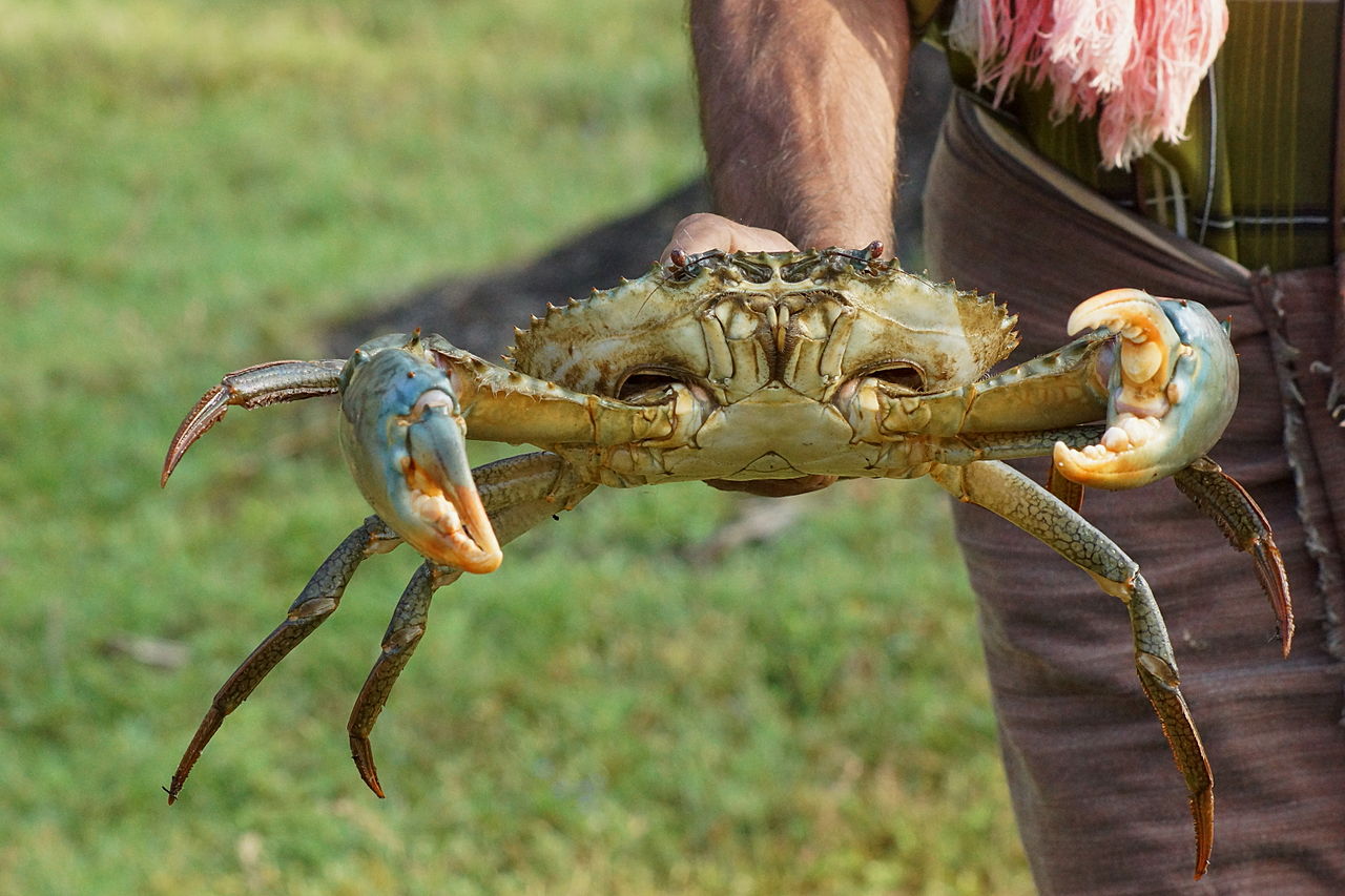 Conservation news Page 11 of 630 Environmental science and