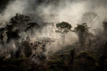 Hotspot directly in the forest, next to a freshly deforested area, with Deter warning, in Alta Floresta, Mato Grosso state. © Christian Braga / Greenpeace