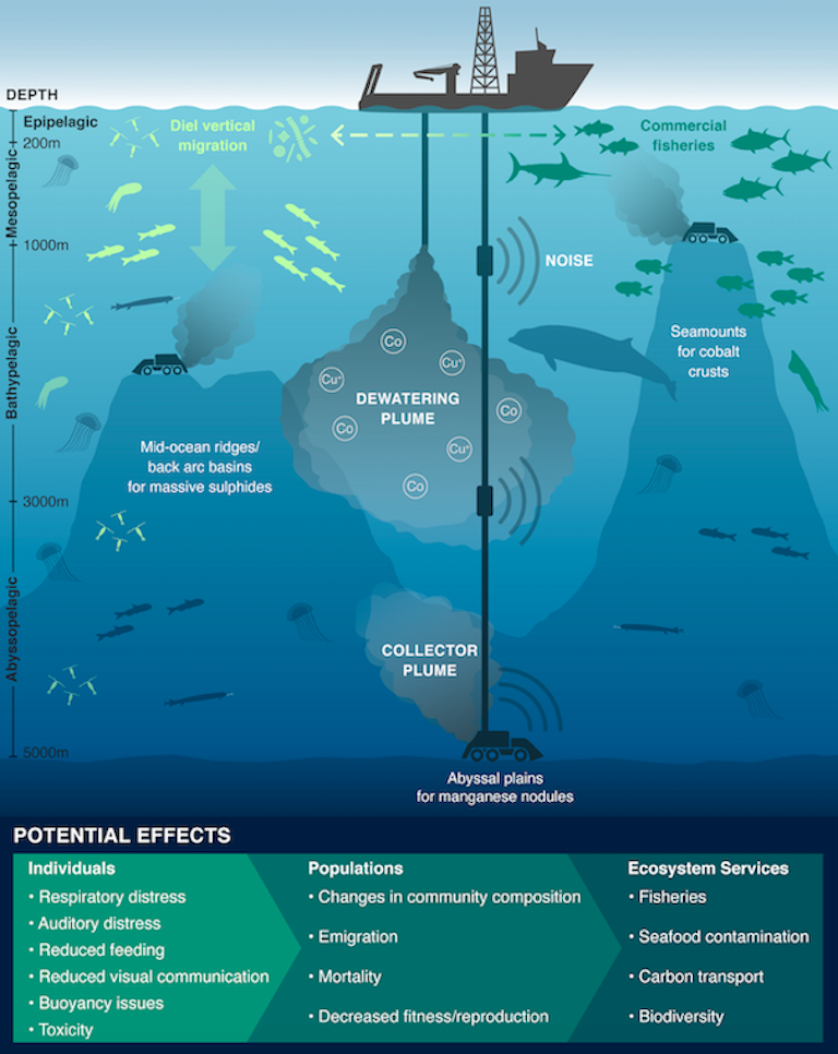 Sediment plumes from deep-sea mining could pollute vast swaths of the ...