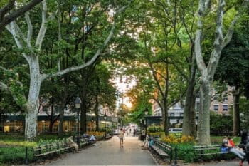 Washington Square Park is another place to see birds in NYC.