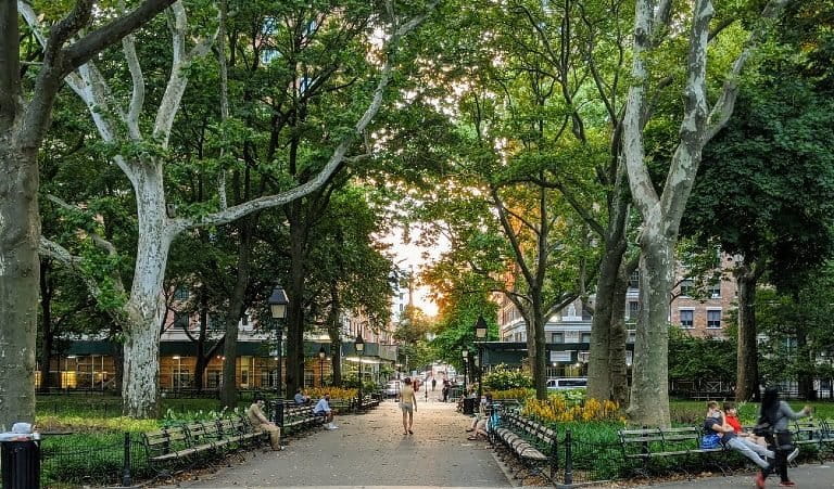 Five ways to increase tree cover in cities (commentary)