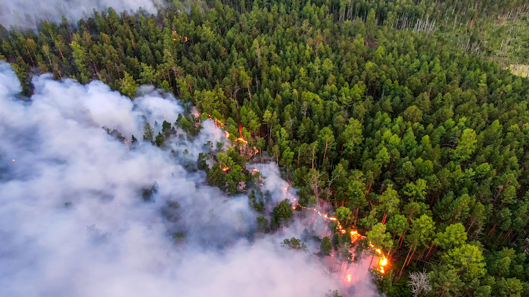 Photos show scale of massive fires tearing through Siberian forests