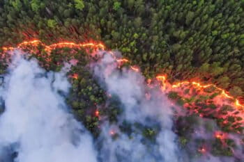 Krasnoyarsk, Siberia, is just one region where fires are burning throughout Russia in 2020. Image by Greenpeace International.