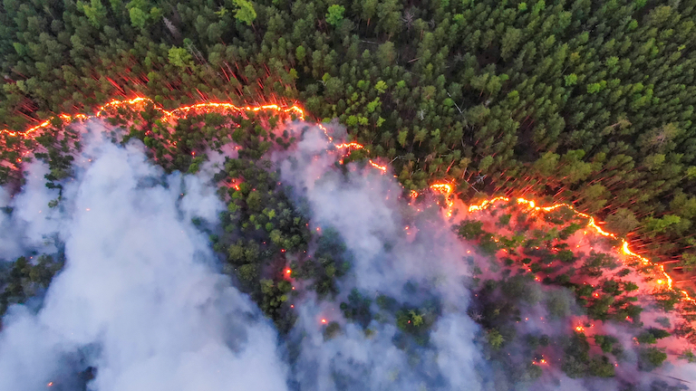 Krasnoyarsk, Siberia, is just one region where fires are burning throughout Russia in 2020. Image by Greenpeace International.