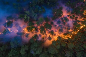 Krasnoyarsk, Siberia, is just one region where fires are burning throughout Russia in 2020. Image by Greenpeace International.