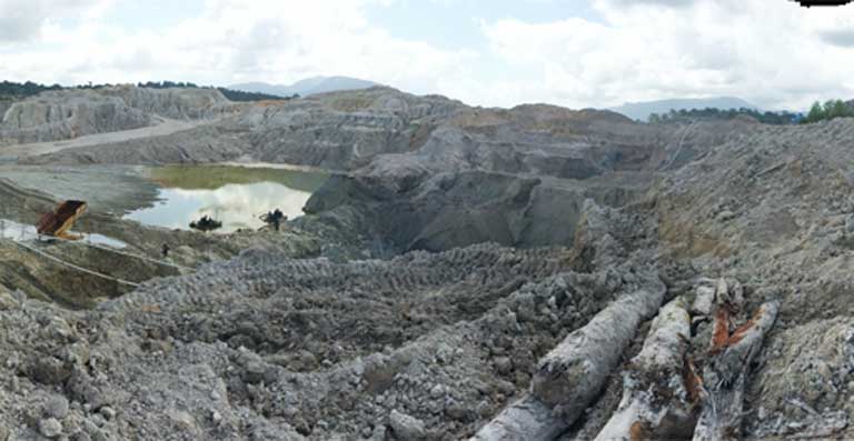 Amazon gold mining wipes out rainforest regeneration for years: Study